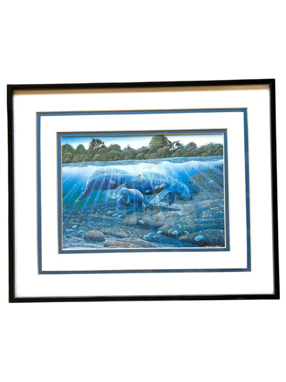 Robert Lyn Nelson Gentle Giants Manatee Framed Print Florida Waterways